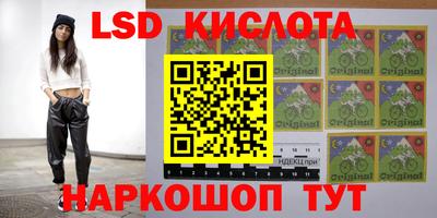 дмт Будённовск