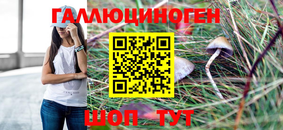 Галлюциногенные грибы MAGIC MUSHROOMS  Вход с VPN  Мытищи 