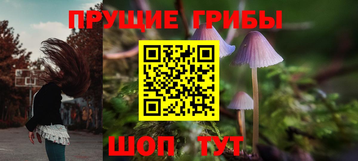 Псилоцибиновые грибы мухоморы Мытищи